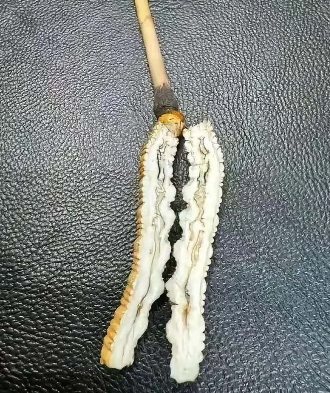 敢不敢吃？切开了看，你还敢吃吗？

