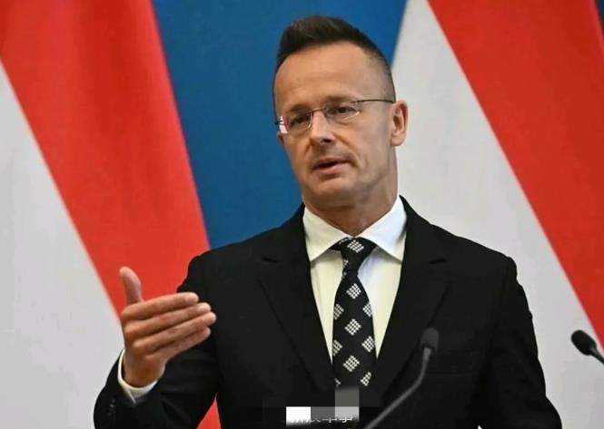 太尴尬了！
波兰被狠狠打脸！
7月29日据报道，波兰批评匈牙利与俄有经济联系，没