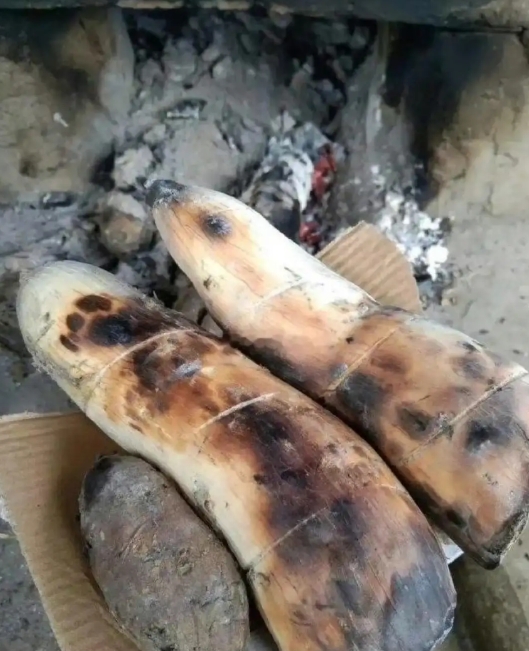 去同事家里做客，居然拿这破玩意招待我，友尽