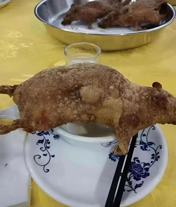 在餐馆点的脆皮乳鸽，怎么越看越不是乳鸽
