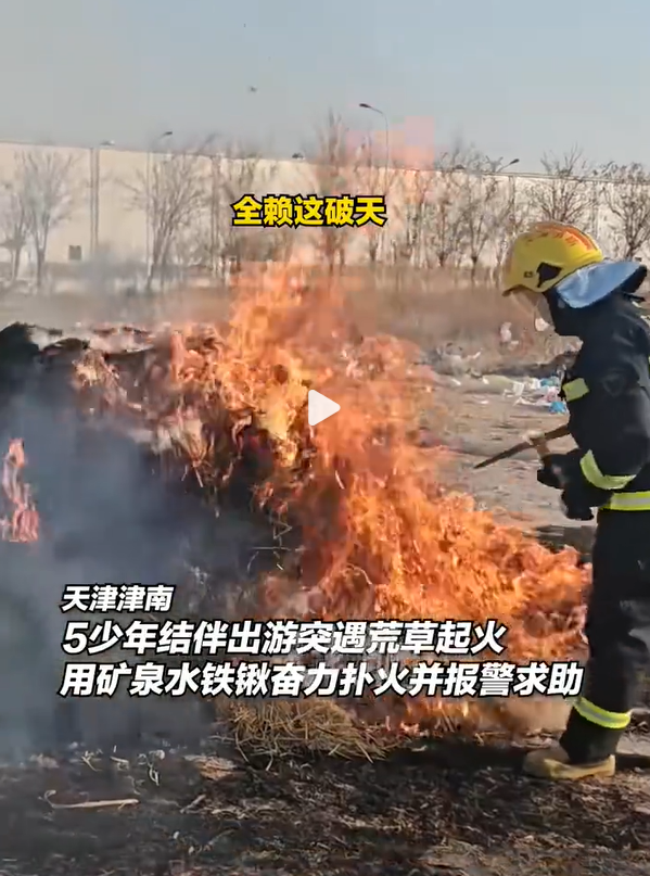 近日，在天津津南，五名少年出游时偶遇荒草起火，他们毫不犹豫地拿起矿泉水、铁锹等工
