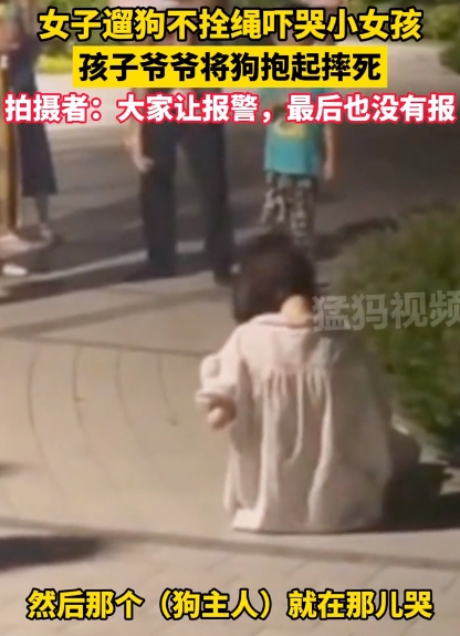 个人觉得，出门遛狗，拴绳是最基本的操作，而对狗规范管理更是至关重要，

而这位狗