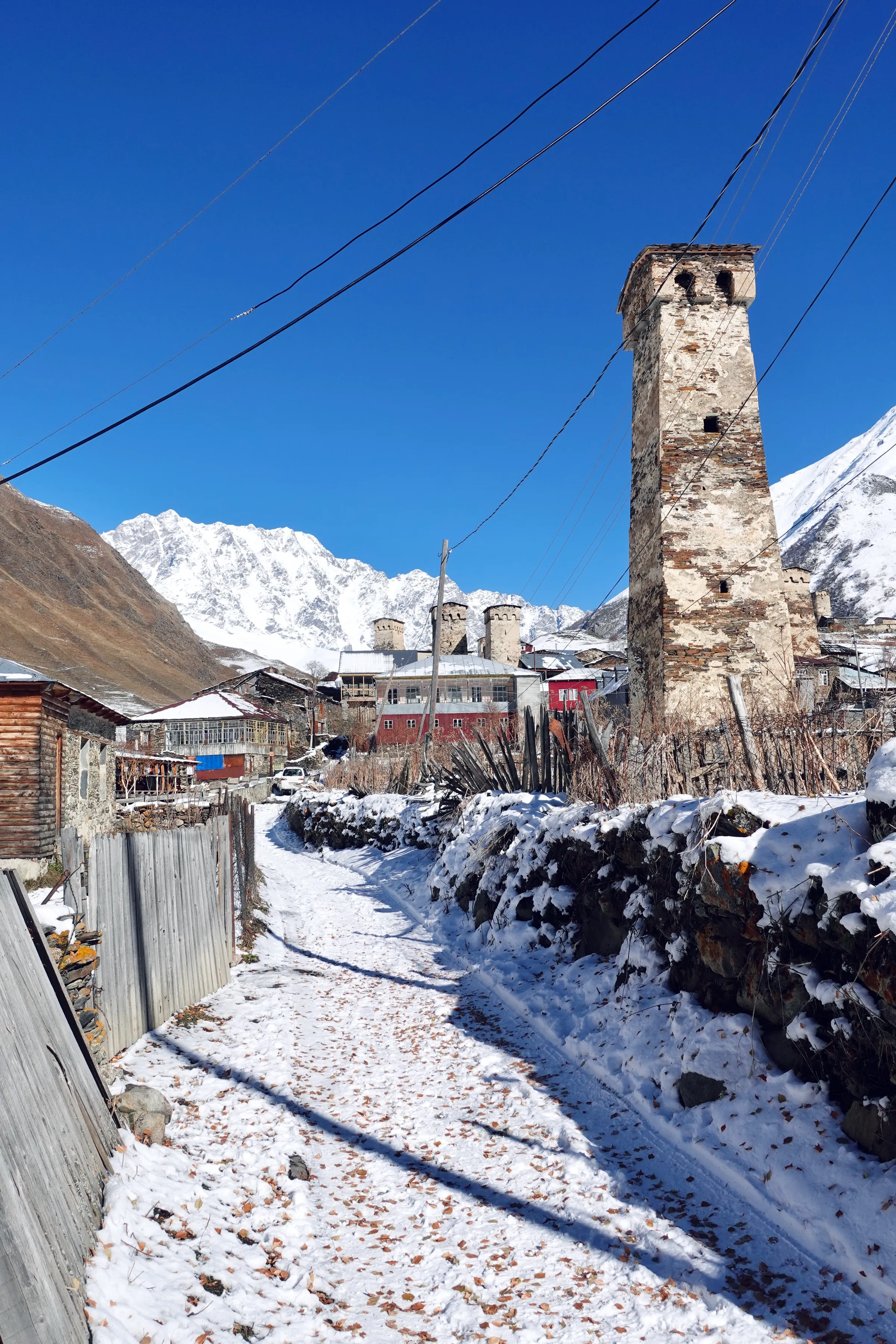 今天从梅斯蒂亚去乌树故里一日游
