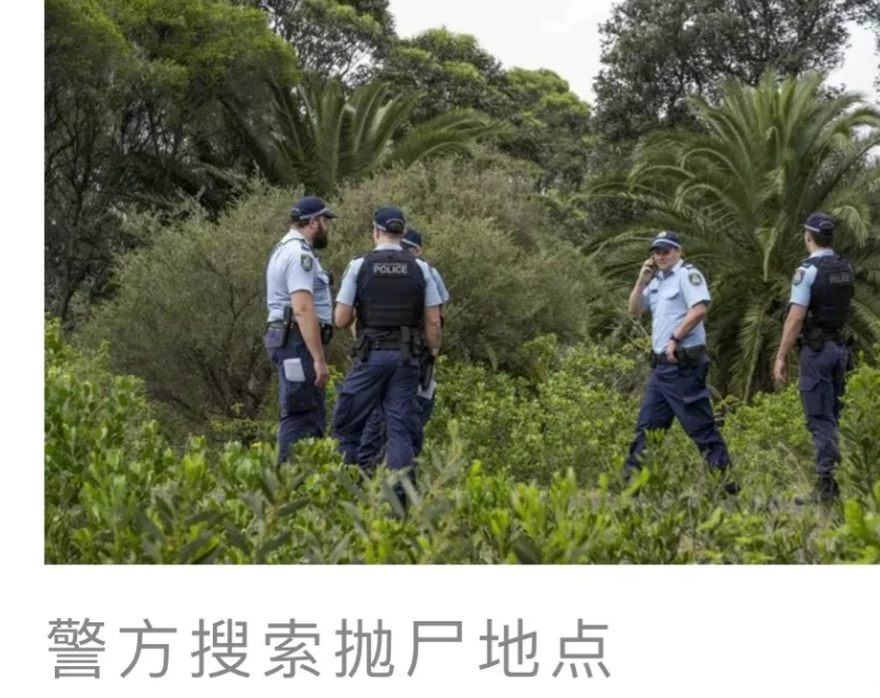 悉尼机场惊现碎尸包裹，死者是33岁中国移民