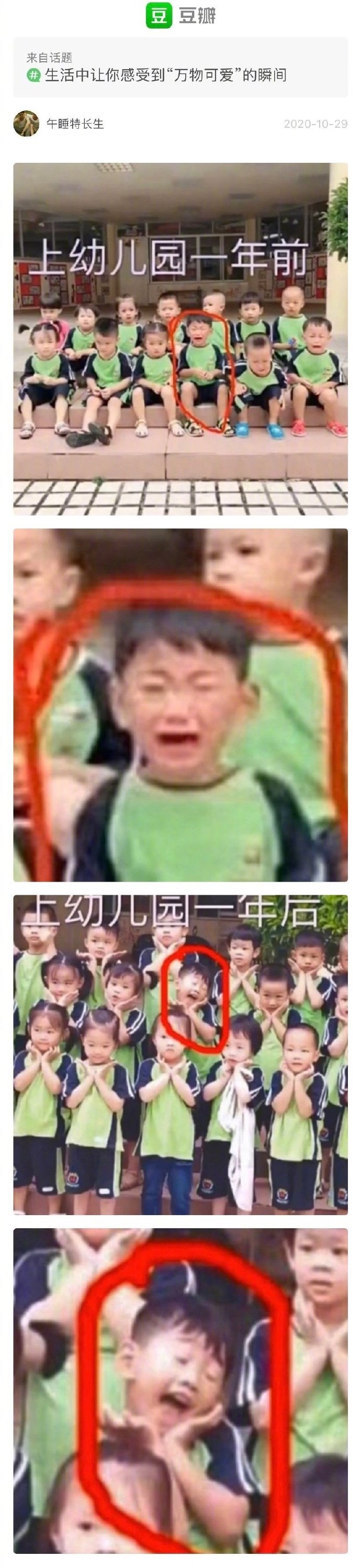 生活中让你感受到“万物可爱”的瞬间