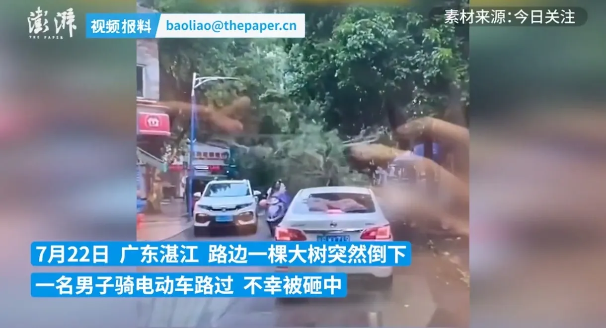 突发惨剧！大树狂倒，电动车骑士重伤倒地！

2024年7月22日，广东湛江街头，