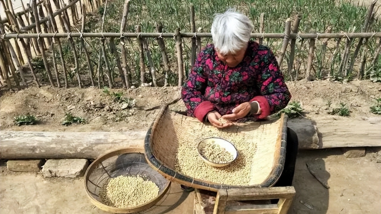 92年，偷拿爸爸400半夜到广州闯荡，三十年后回老家早已物是人非