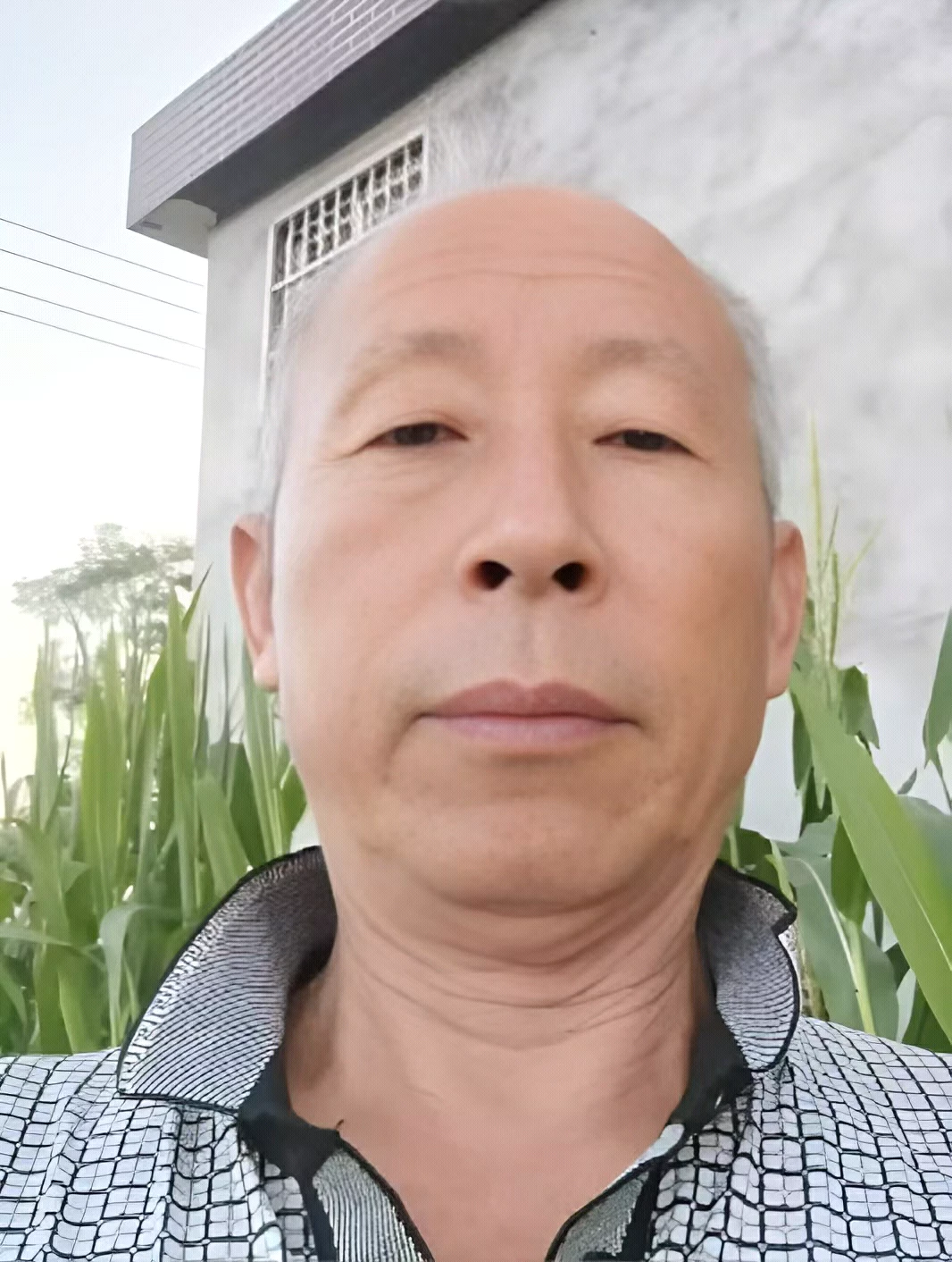 警方已经确认赵子龙死亡的消息。

2024年8月25日，在郸城县汲水镇发生了一起