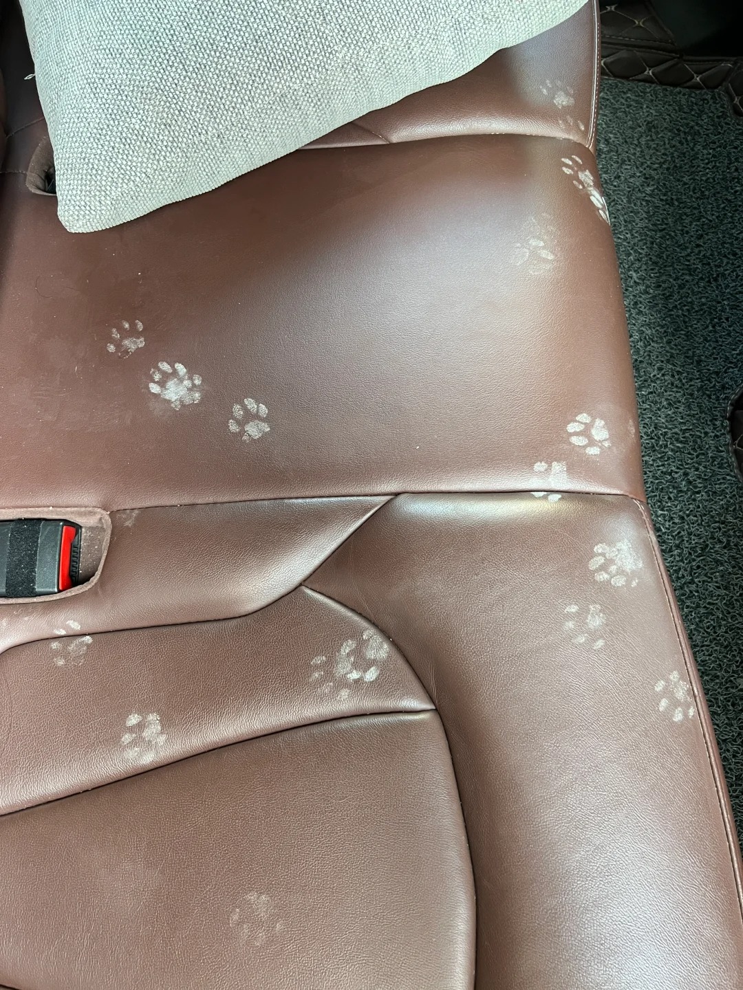 车上发现的这是什么脚印？
#搞笑日常 #神秘 早上开车出去玩，一打开车门发现车里