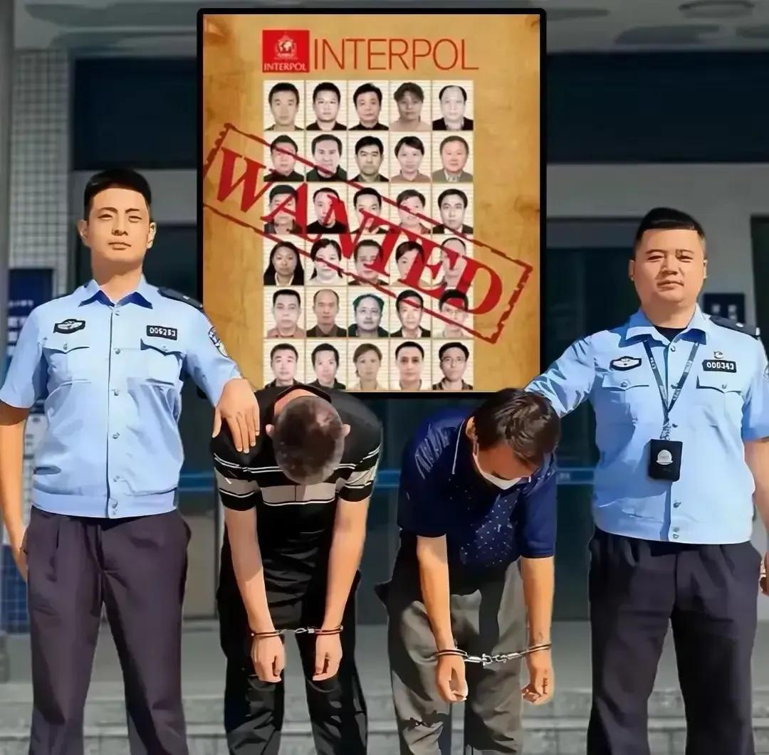 现在中美之间的事可能要算清了。中国网友给美国网友出了个主意：让他们帮忙抓贪官。美
