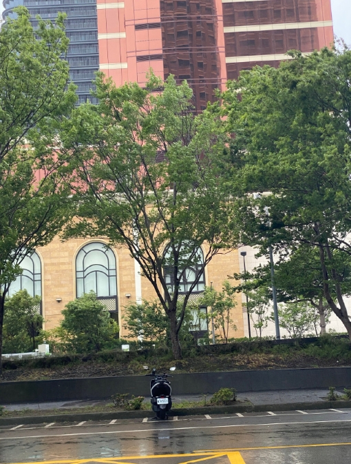 台风天。

一阵阵，风大、雨大；

路上人很少 超市菜也很少；

午睡时，呼呼呼