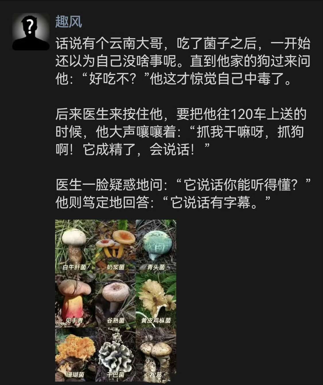 云南大哥吃菌中毒的奇葩经历