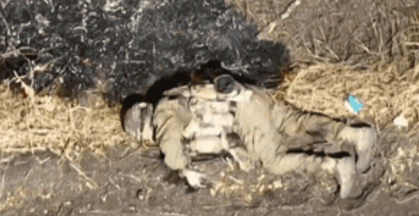 太惨了，真的不忍直视！
俄乌战场，一名士兵被无人机炸成重伤，晕死了过去。
可是爆
