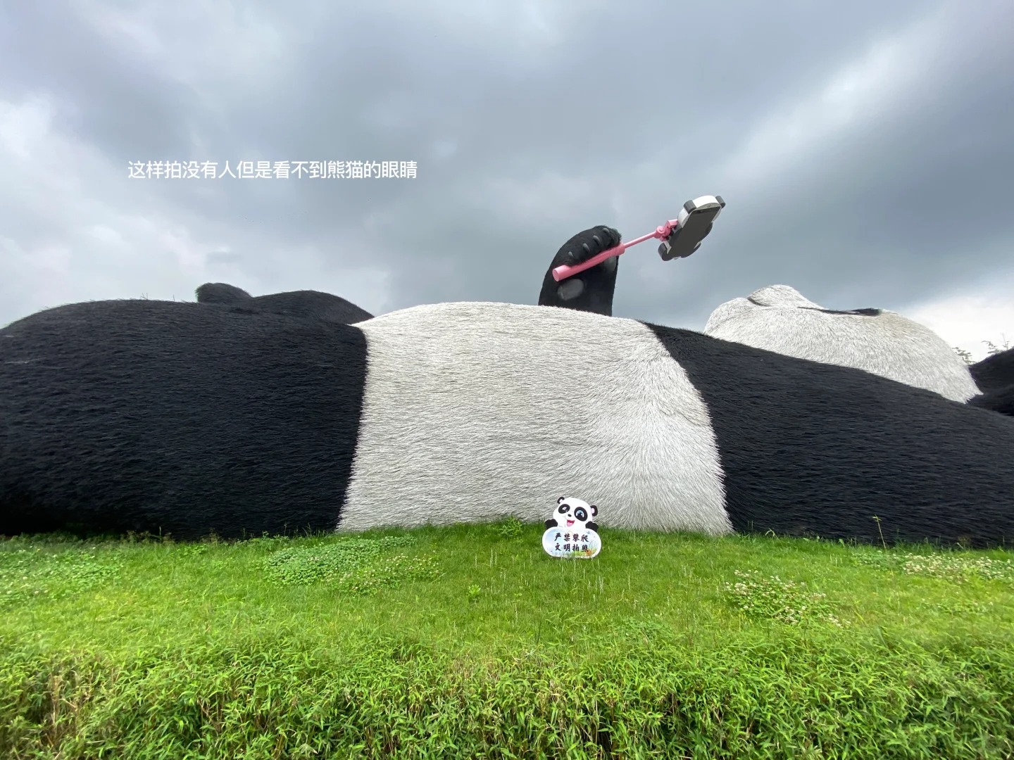 都江堰仰天窝今日实况
人真的太多啦
一路上超级堵车
一公里能堵半个小时
想要拍到
