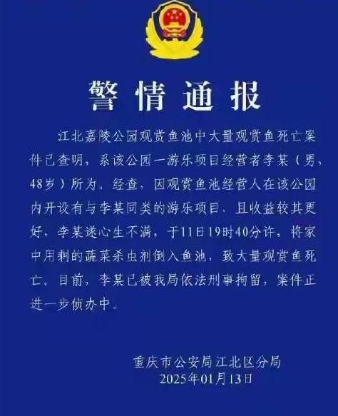 近日，重庆观音桥步行街嘉陵公园的观赏锦鲤突然全军覆没，这让不少当地市民都大吃一惊