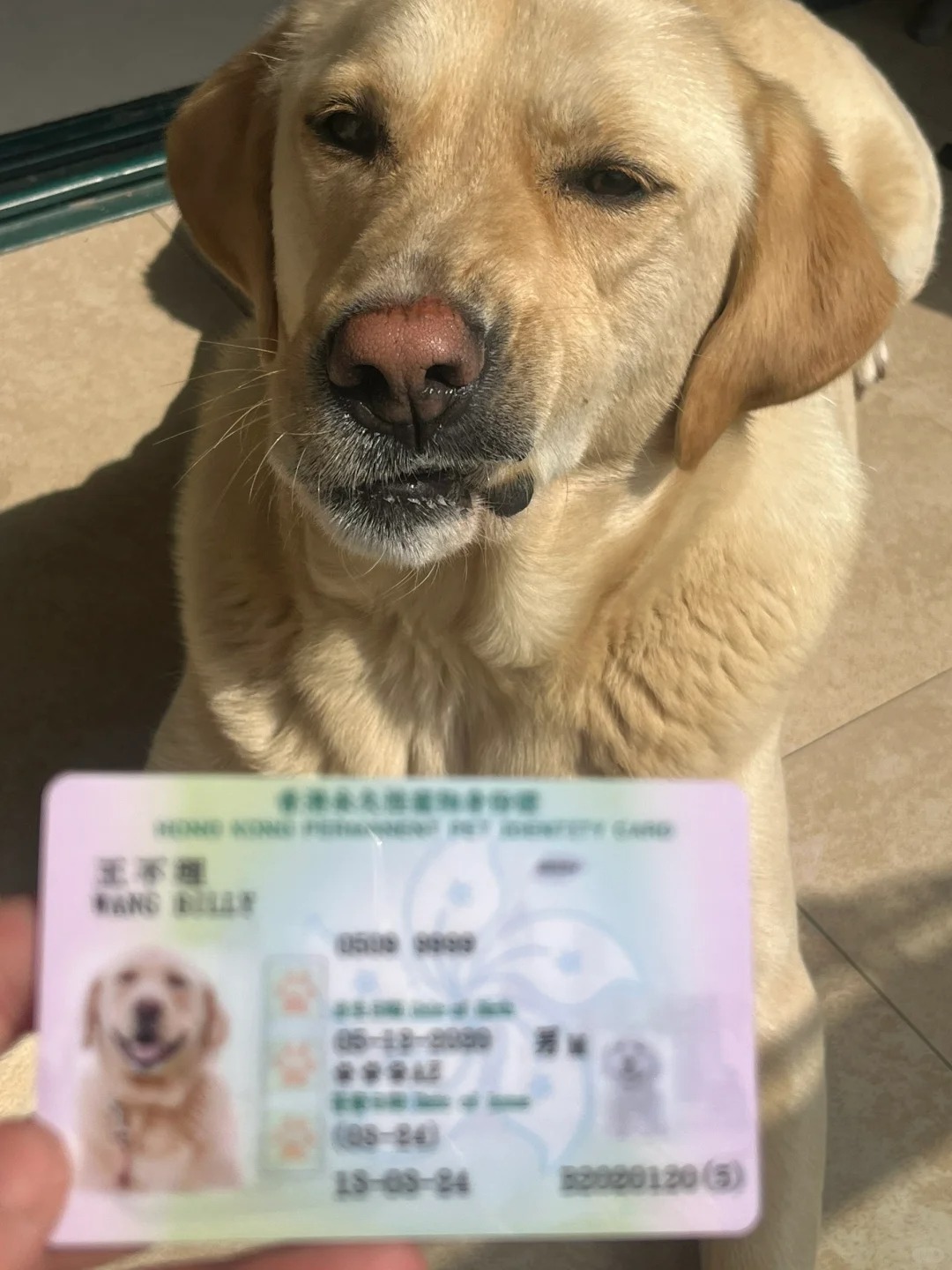 照片是我，不满意？
哈哈哈哈这卡的表情也太好笑啦