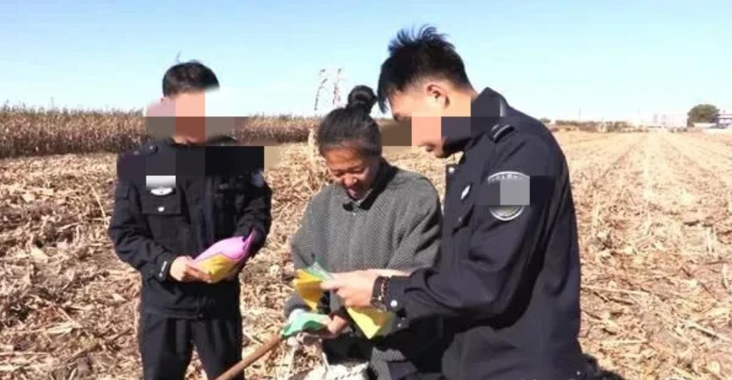 黑龙江哈尔滨，53岁农村大妈，正在自家地里焚烧秸秆，刚好被巡逻民警看见，被警方拘