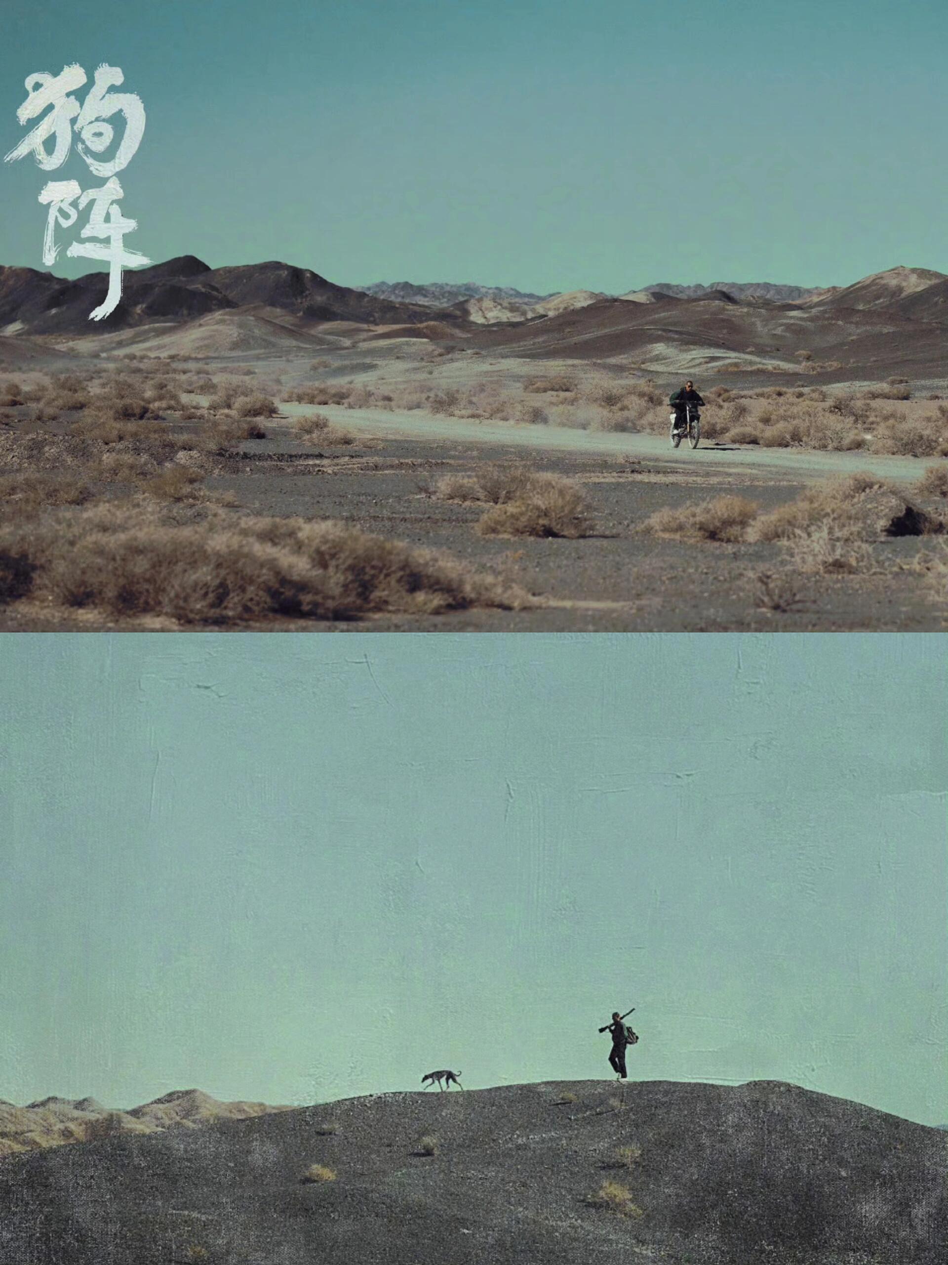 《狗阵》：我与动物共舞，重获新生