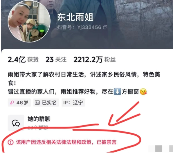 东北雨姐价值千万的大楼贷款没还完，更扎心的事来了！

自从 “红薯粉条”售假事件