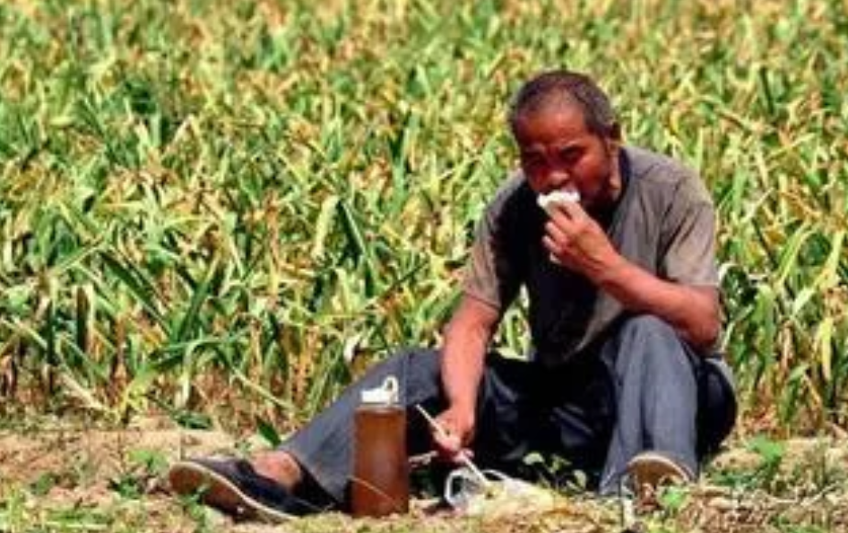 各地蔬菜价格之暴涨！
网曝：从网上近日常看到各地蔬菜价格暴涨，大家都喊吃不起蔬菜