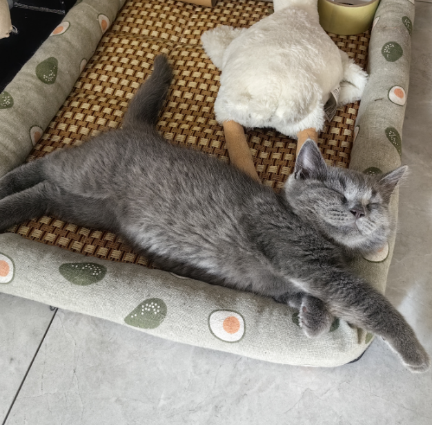 不知道梦到啥开心的事情