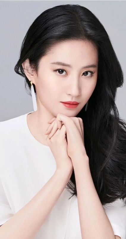 刘亦菲与陈金飞再度同框