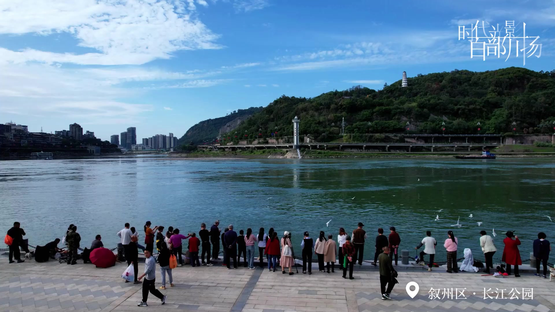 宜宾市叙州区长江公园呈现出一幅生机盎然的生态美景