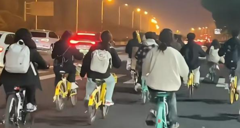 你们任性开心坏了，单车调度员忙疯了！一觉醒来，共享单车的天塌了

在初冬的寒风中