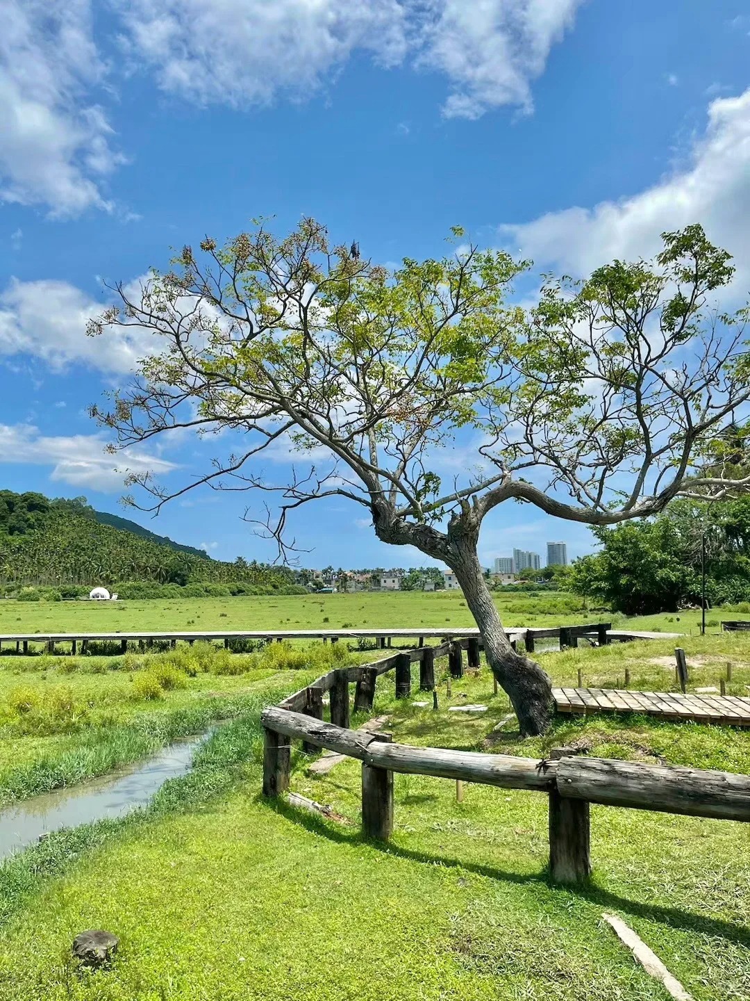 🍃为了拍这18张照片我特地飞了一次海南！！！
海南真的好美啊啊啊！！！旺季人多