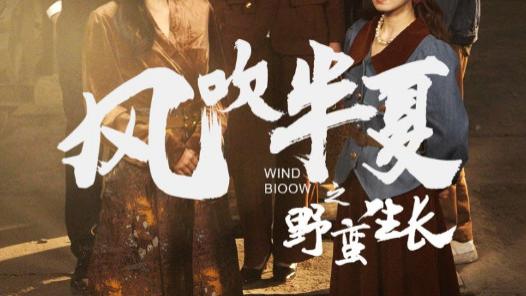 短剧在线观看《风吹半夏之野蛮生长》完整版全集（59集）宋暖