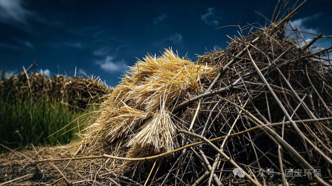 生物质 “燃料化/能源化”：秸秆等农林废弃物的新兴蜕变之路