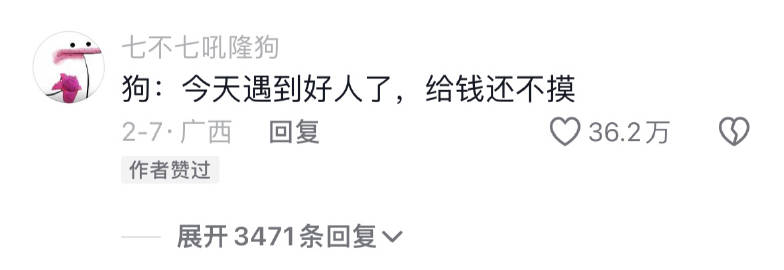 狗狗：今天上个轻松班