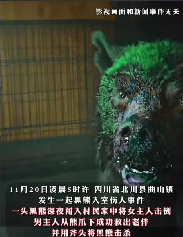 妻子被重伤后，四川老汉能单人反杀黑熊，离不开这五个细节的巧妙配合！

1、他是当