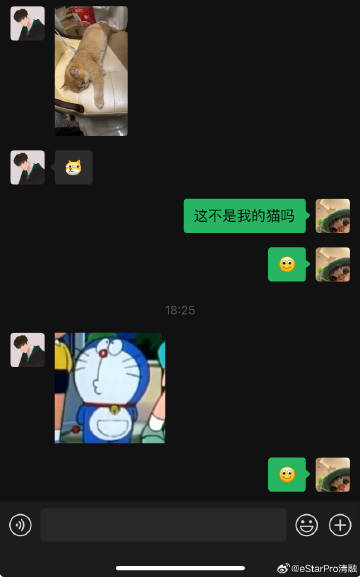 这不是我的猫吗