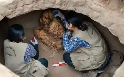 这两位姐姐的胆量真是惊人