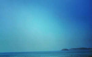 他死在了最爱我的那年