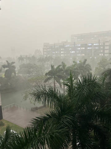 #广州暴雨#家里阳台上的花盆你还好吗