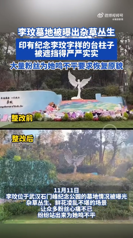 李玟墓地被曝出杂草丛生