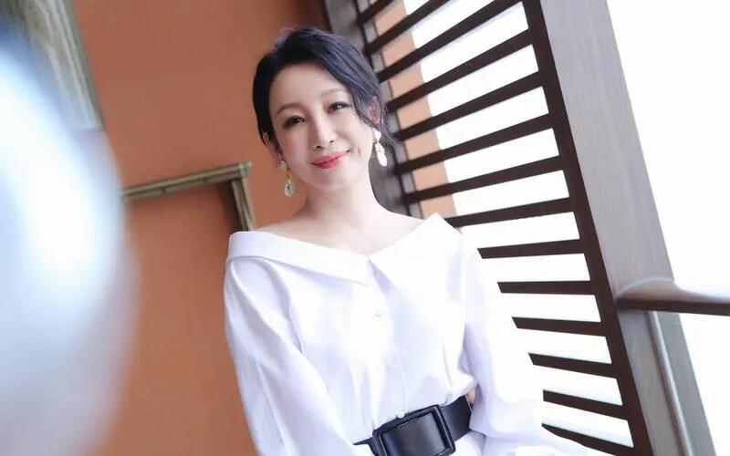 秦海璐：从情感低谷到事业巅峰的华丽蜕变