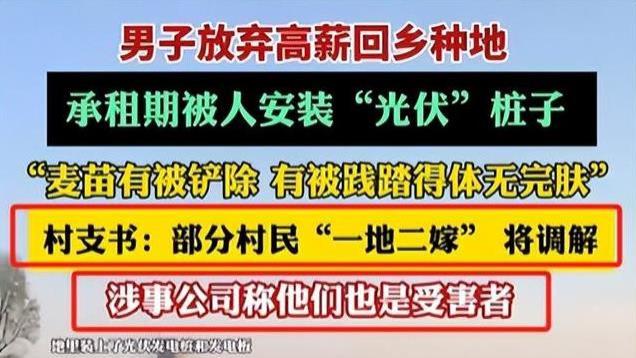 陕西又上大分，良田里“长”光伏为哪般？网友：农民不背锅！