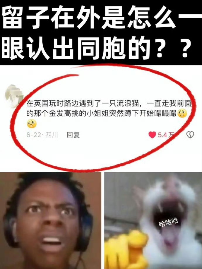 论留子在外是怎么一眼认出同胞的