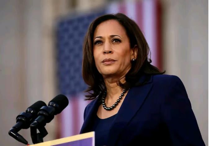 哈里斯心里乐开花，
民主党候选人稳了，
谁还能挑战她，请站出来，
1、非洲裔、印