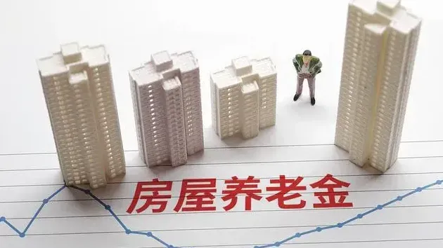 房屋体检，房屋养老金？呵呵。

都是小日子玩剩下的，但人家那是市场自我调节。我们