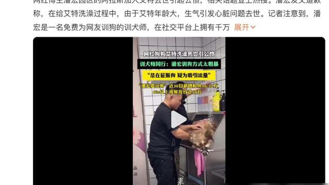 网红狗艾特直播洗澡后去世，明星陈乔恩发声：这是一场谋杀！