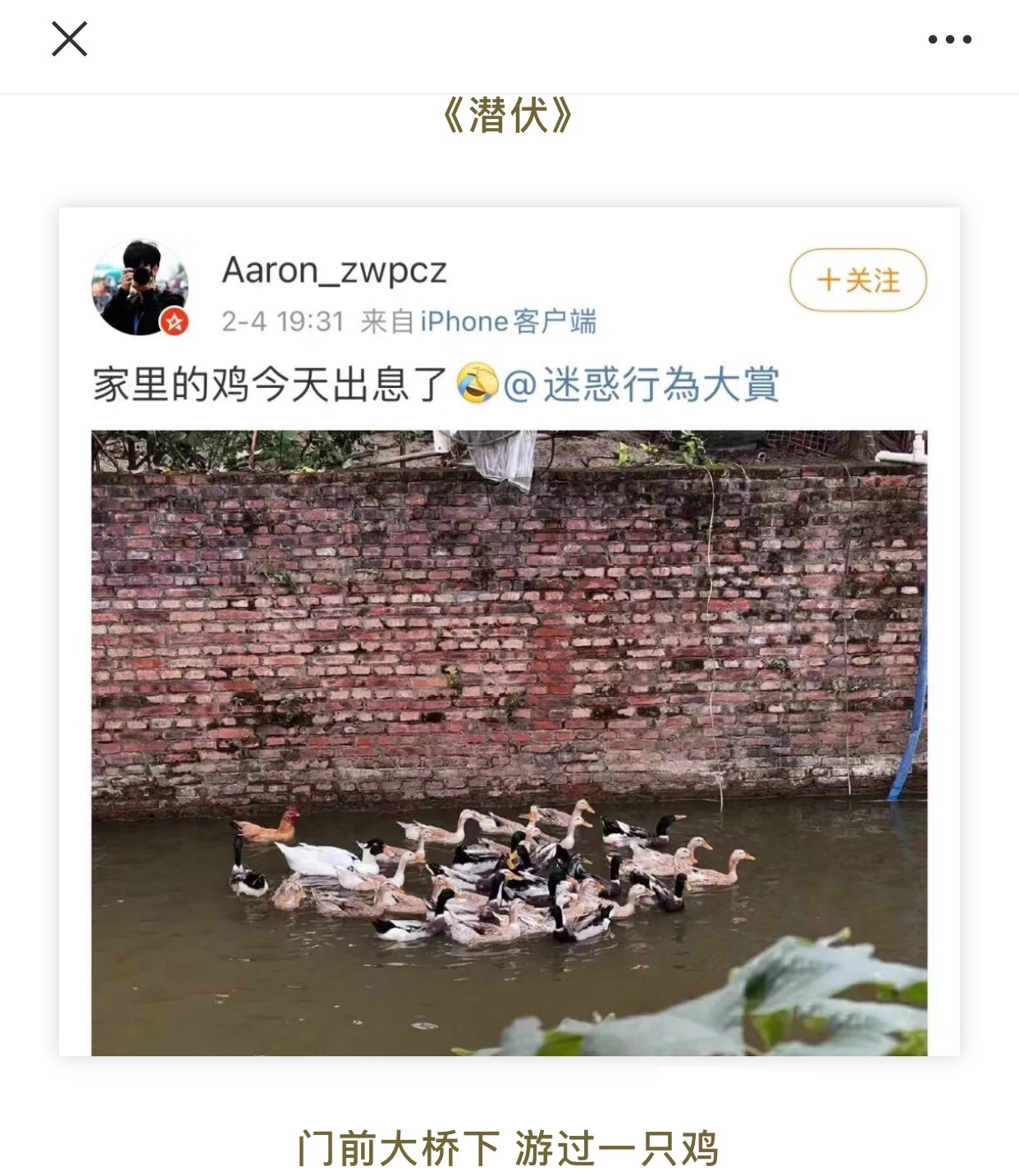 家里的鸡今天出息了