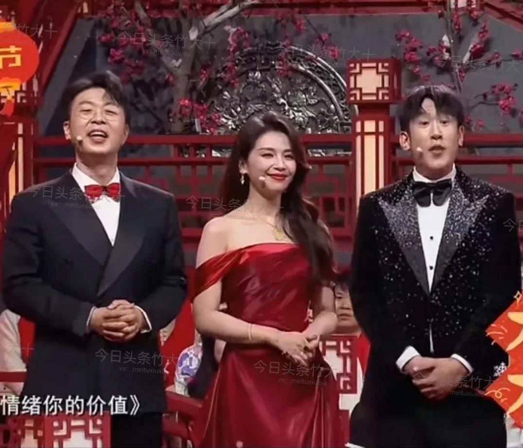 辽宁春晚真会邀请人，眼光是真“好”，实话实说，我最不喜欢左边的和中间的两个“涛”