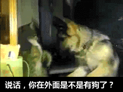 有了女朋友之后的真实生活
