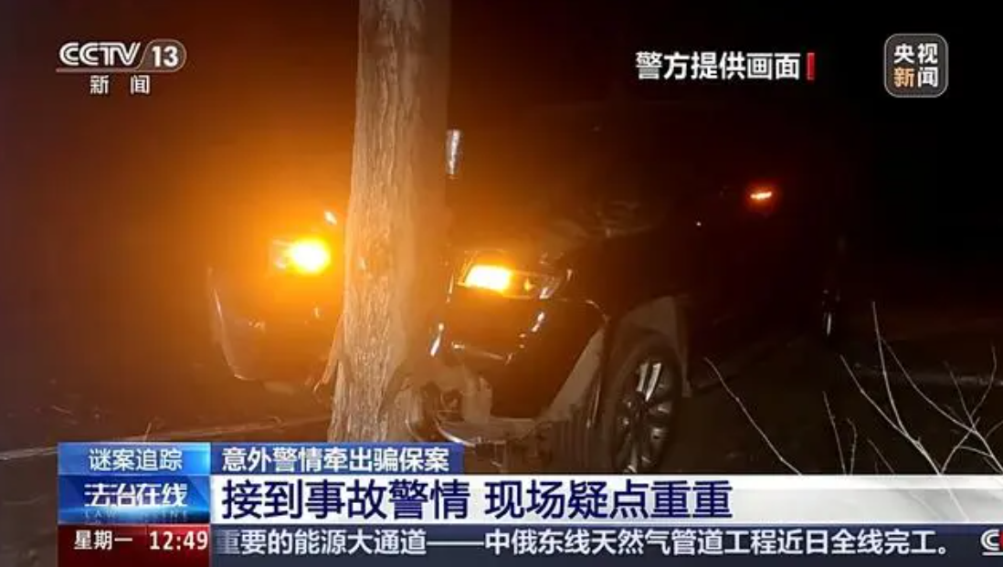 男子为骗保开车撞树，却把命给“撞”没了