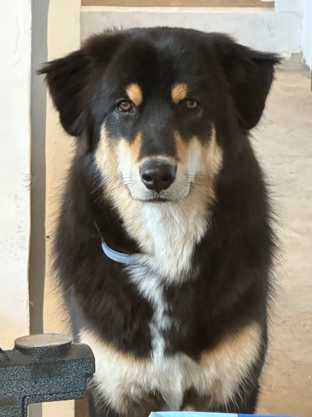 宝宝你是在看我嘛