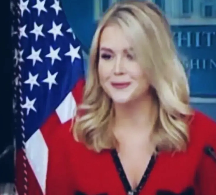 白宫发言人说的了什么？！

 白宫发言人卡罗琳，直接开撕美国国际开发署！150万